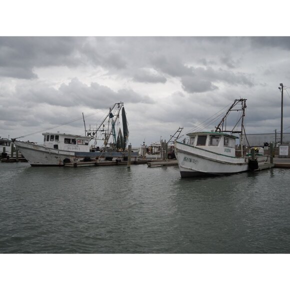 Samsung DV300F Digital DualView Camera 16.0MP 5x Optical Zoom Video WiFi 64GB SD - Picture 6 of 16